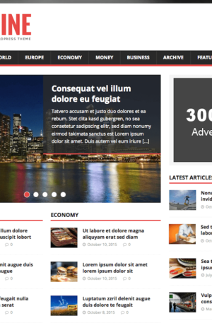 MH Magazine Lite